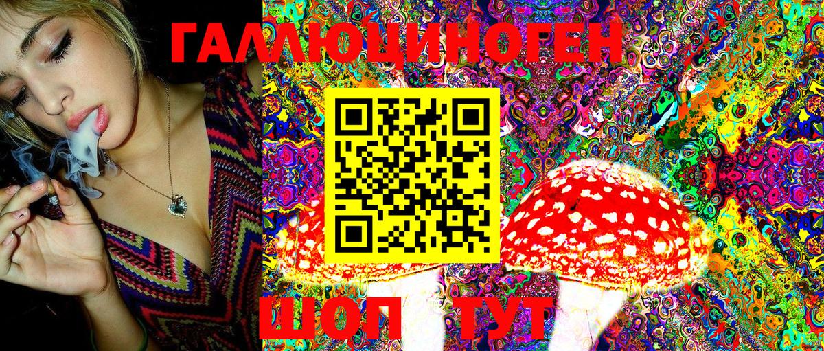 Псилоцибиновые грибы Psilocybe Карталы