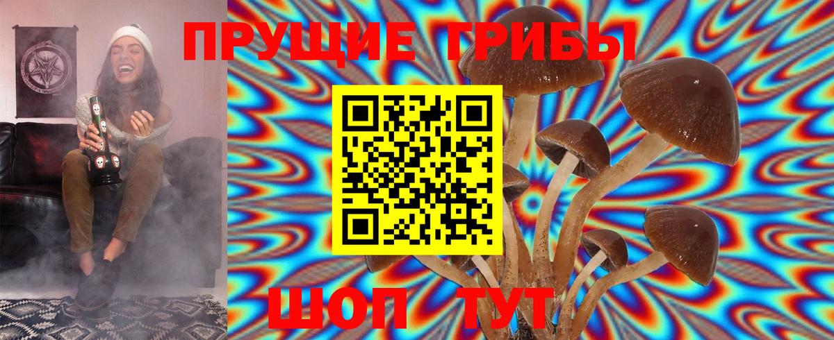 Карталы  Галлюциногенные грибы GOLDEN TEACHER  Псилоцибиновые грибы Cubensis  Вход с VPN 